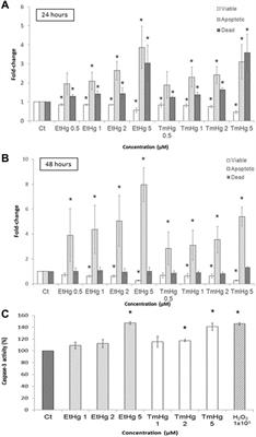 Thioredoxin Reductase Inhibitors as Potential Antitumors: Mercury Compounds Efficacy in Glioma Cells